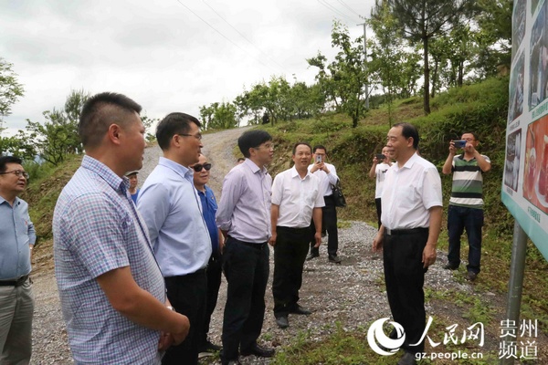 梁贵友(左三)一行详细了解当地林下经济产业发展情况。