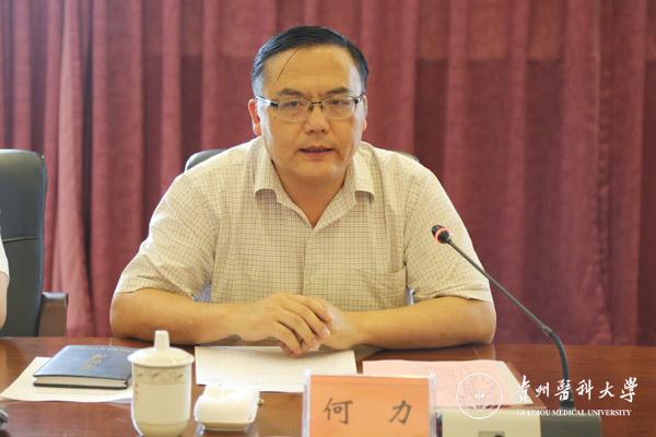 贵州省副省长何力
