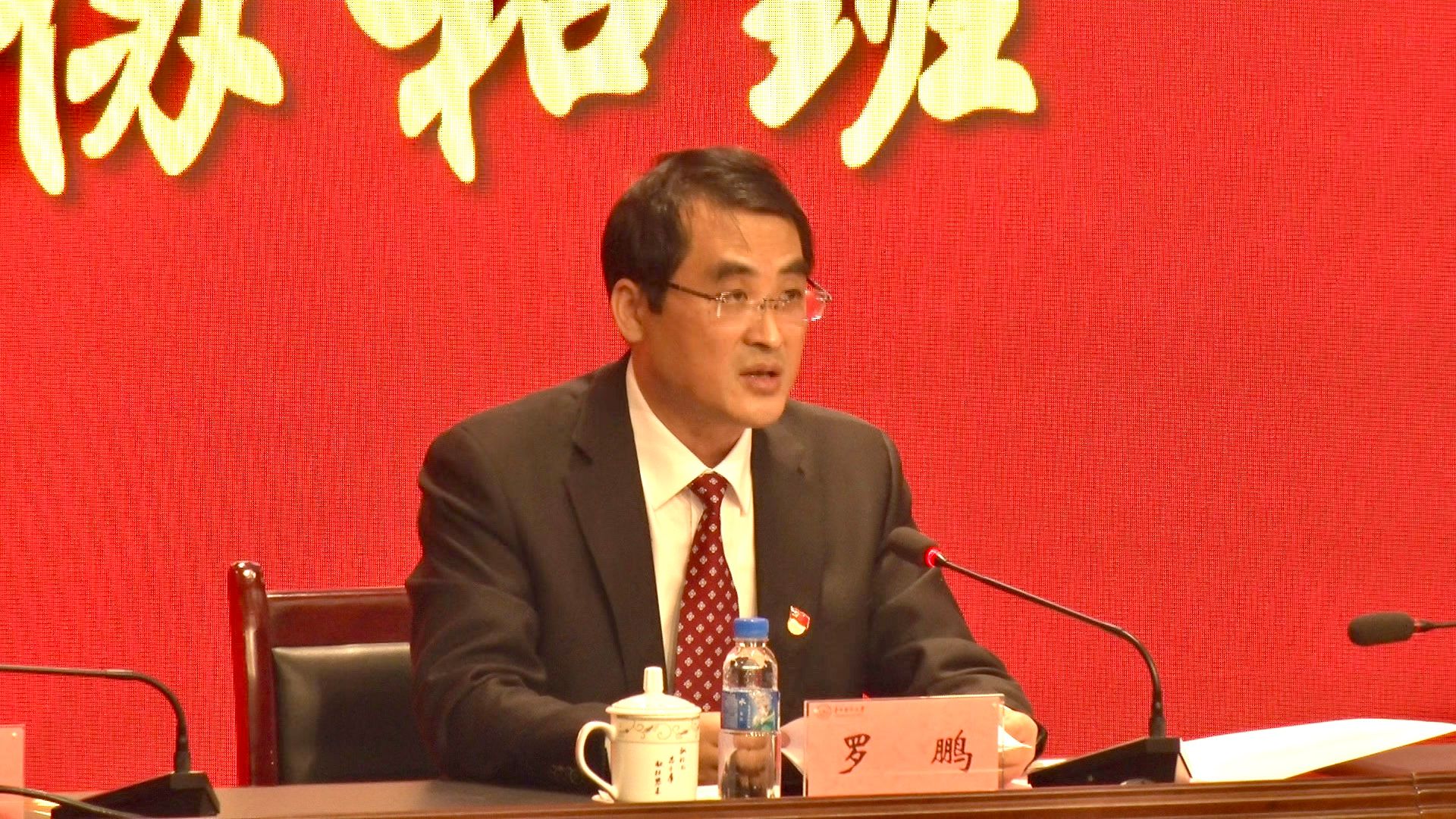 中国工程院副院长,中国医学科学院,北京协和医学院院校长王辰院士